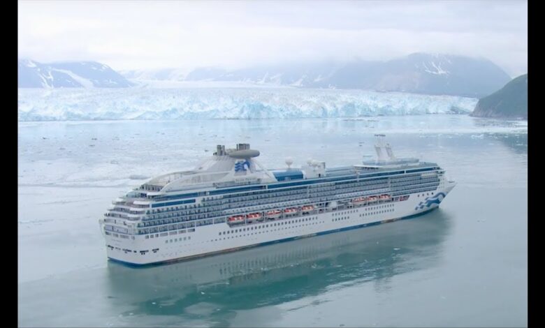 Carnival corp says it plans to cut capacity in alaska