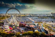 Rodeo