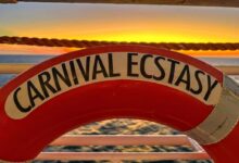 Carnival expected to delay ecstasy relaunch