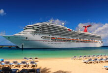 Carnival goes web only on some agent tasks