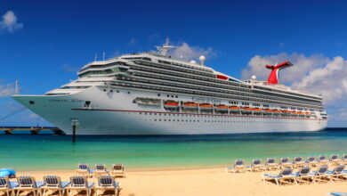 Carnival goes web only on some agent tasks