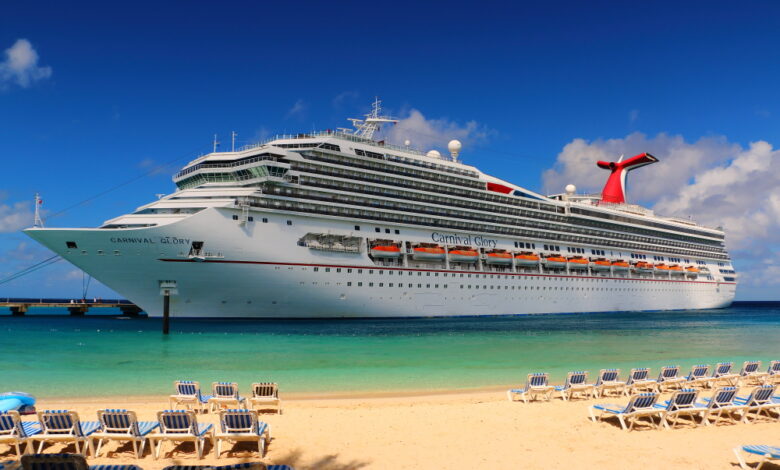 Carnival goes web only on some agent tasks