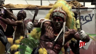 Carnival keeps subject of tui talks a secret