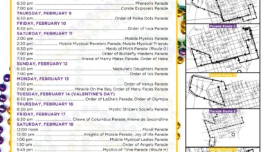 Carnival offers insider look at mardi gras