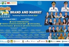 Carnival names new v p of marketing