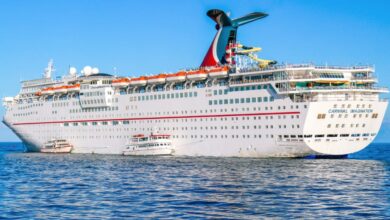 Carnival makes splash at electronics show with ocean medallion