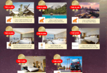 Carnival raffling 25 cabins a day to agents