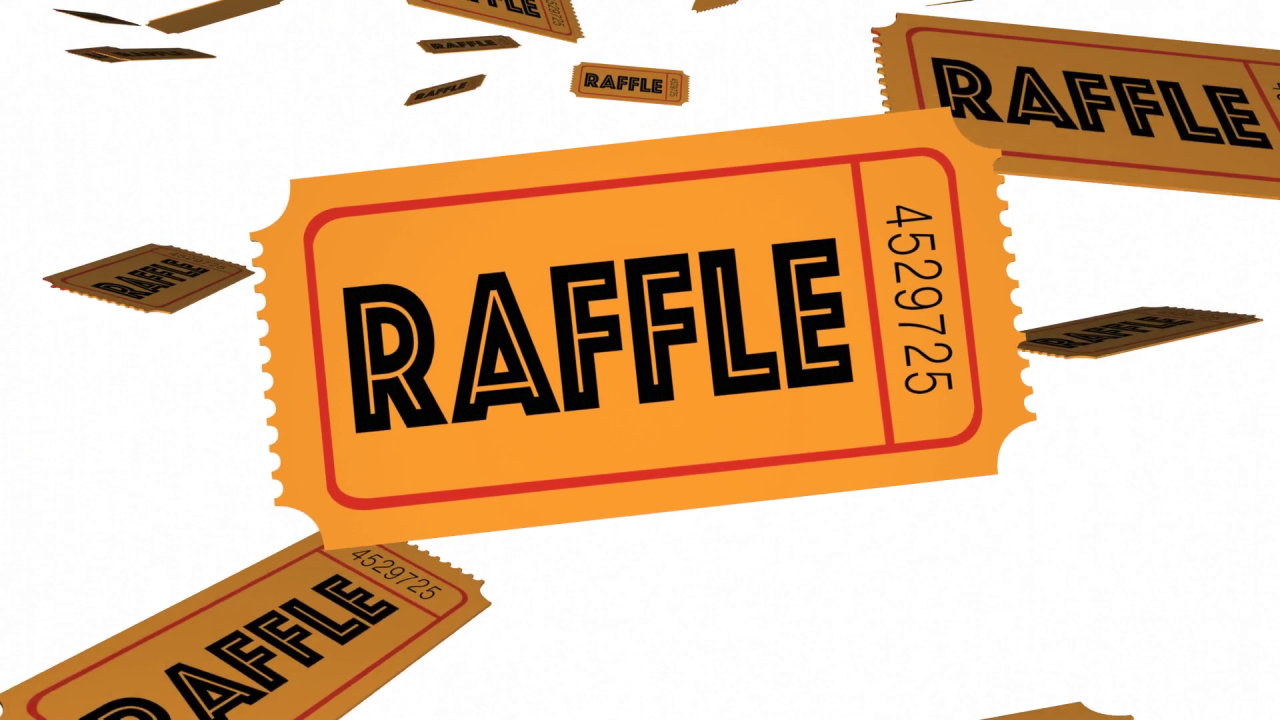 Carnival raffling 25 cabins a day to agents