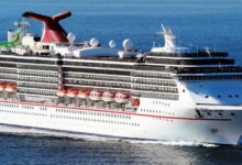 Carnival renames agent education program