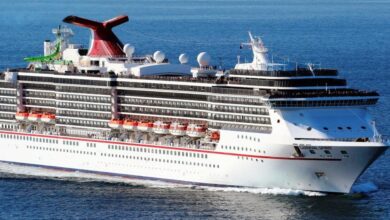 Carnival renames agent education program