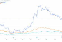 Carnival reports record quarter with income of 1b