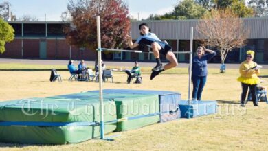 Carnival reports record booking week