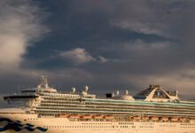 Magic reasons cruisehive cruising loyal cruisers earned loyalty these