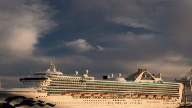 Magic reasons cruisehive cruising loyal cruisers earned loyalty these