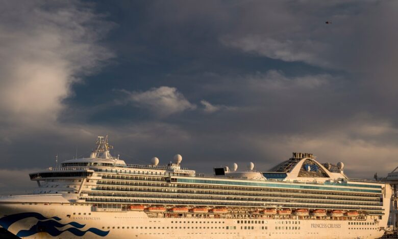 Magic reasons cruisehive cruising loyal cruisers earned loyalty these