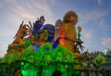 Carnival sets dates for restart