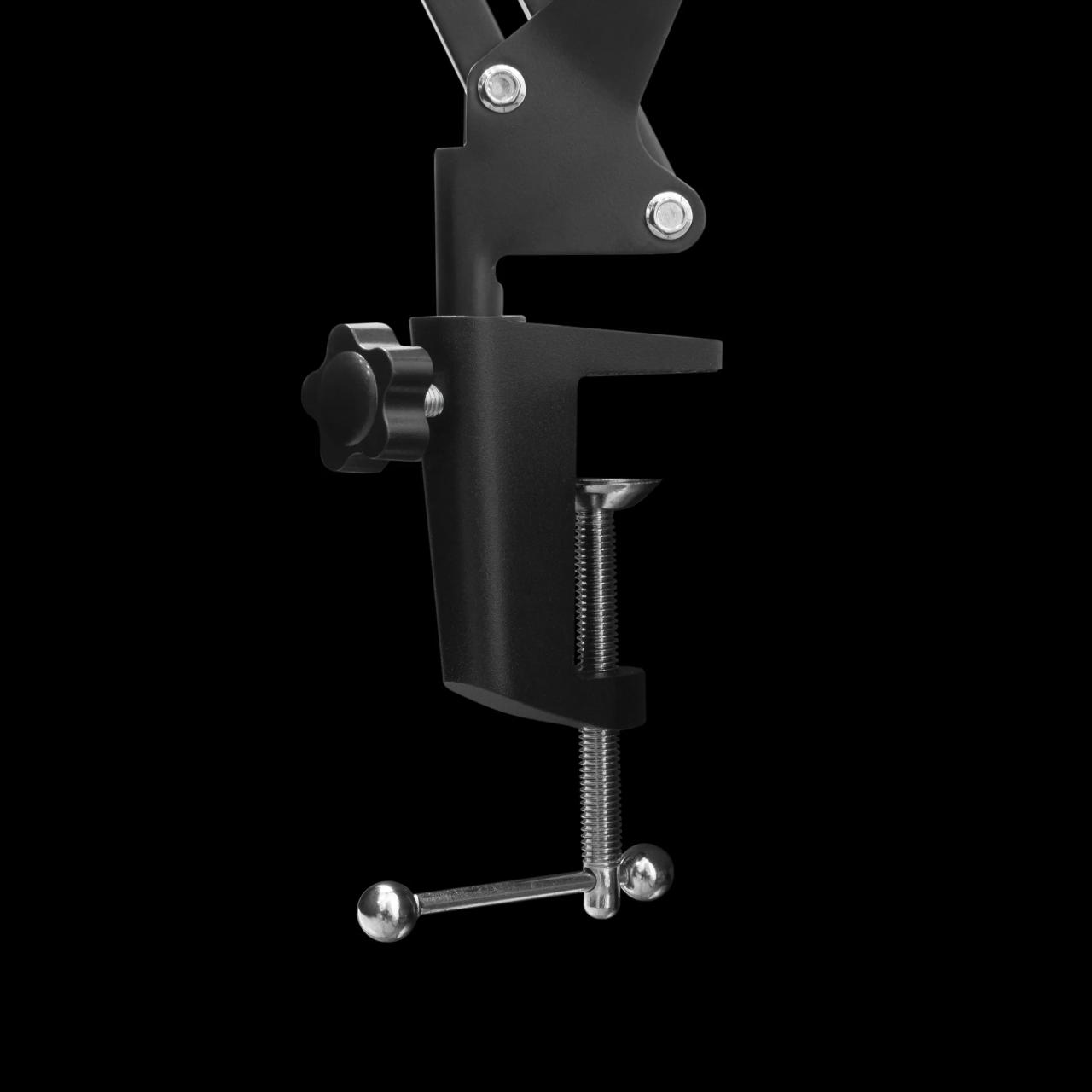 Carnival s meshulam zonis operations vp sets retirement date