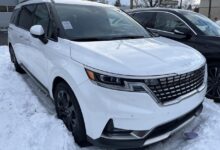 Carnival site to ease passenger registration