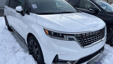 Carnival site to ease passenger registration