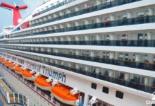 Cruise cruises costs ships billion elation honeymoon sindbad largest plc suffered