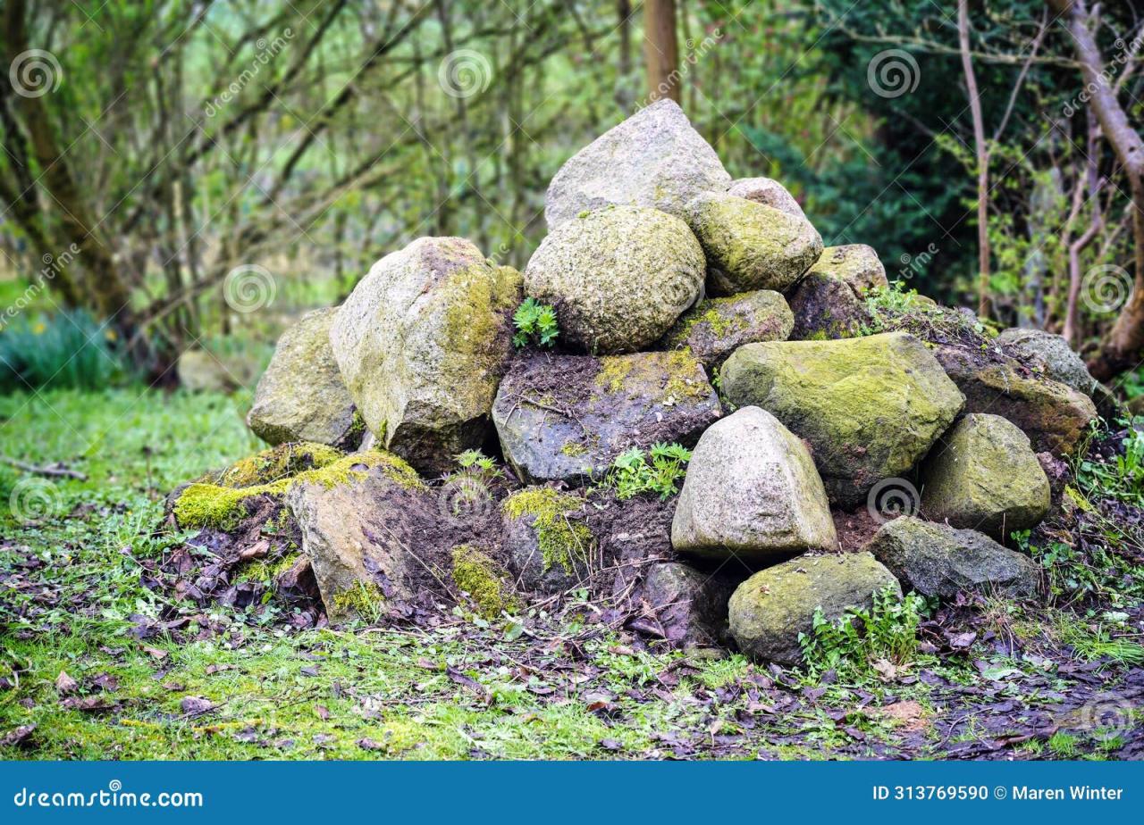 Carnival s paradise pioneers smoke free niche