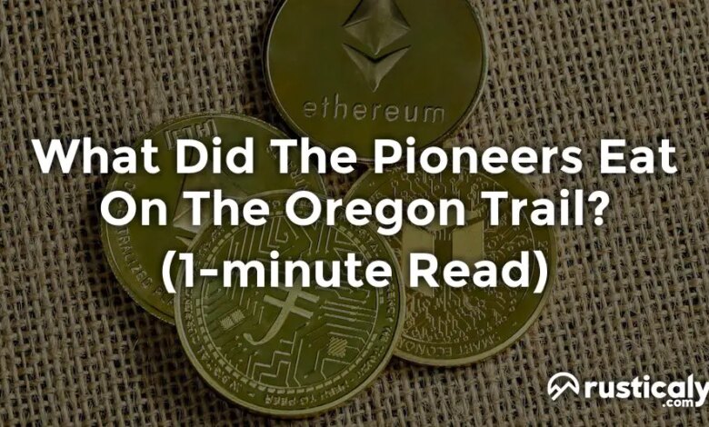 Carnival s paradise pioneers smoke free niche