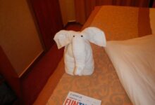 Splendor carnival follows