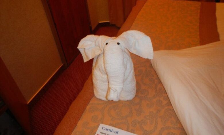 Splendor carnival follows