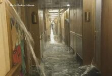 Carnival sues rolls royce for 100 million