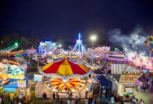 Carnival takes a pr hit but veteran cruisers stay loyal