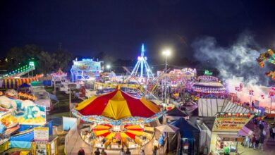 Carnival takes a pr hit but veteran cruisers stay loyal