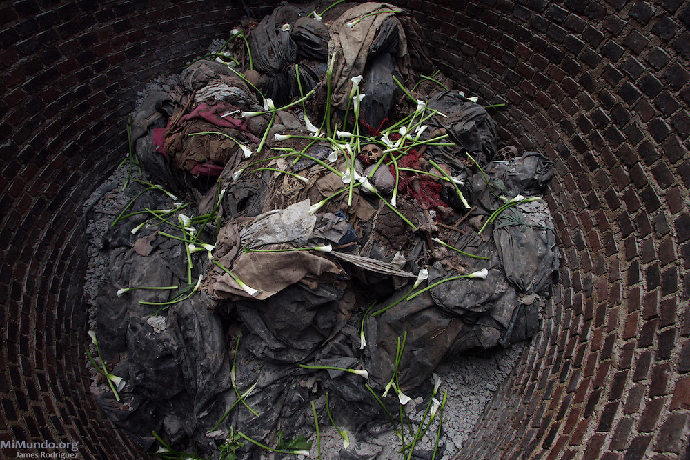 Carnival sunshine metamorphosis was ambitious and complicated