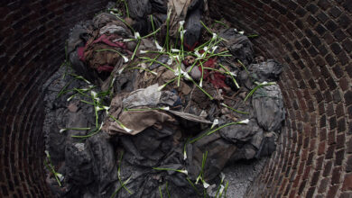 Carnival sunshine metamorphosis was ambitious and complicated