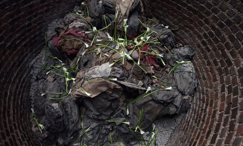 Carnival sunshine metamorphosis was ambitious and complicated