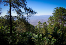 Carnival teams with resort owner on terminal project in honduras